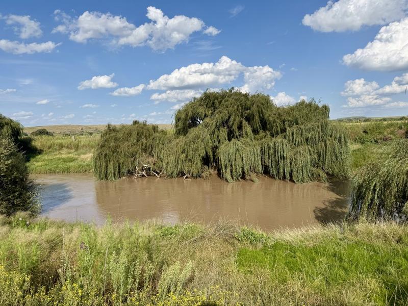 0 Bedroom Property for Sale in Harrismith Free State